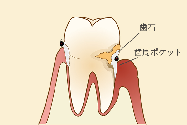 横浜青葉デンタルクリニック